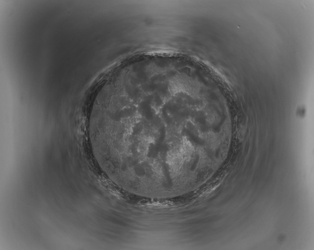 X0000097911351200803211455