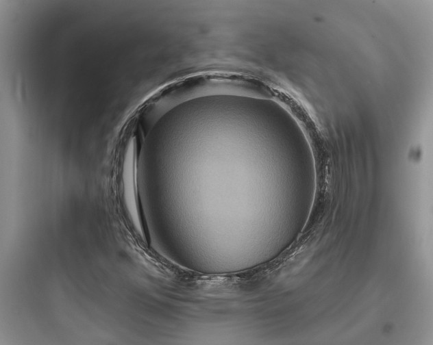 X0000097911352200803211455