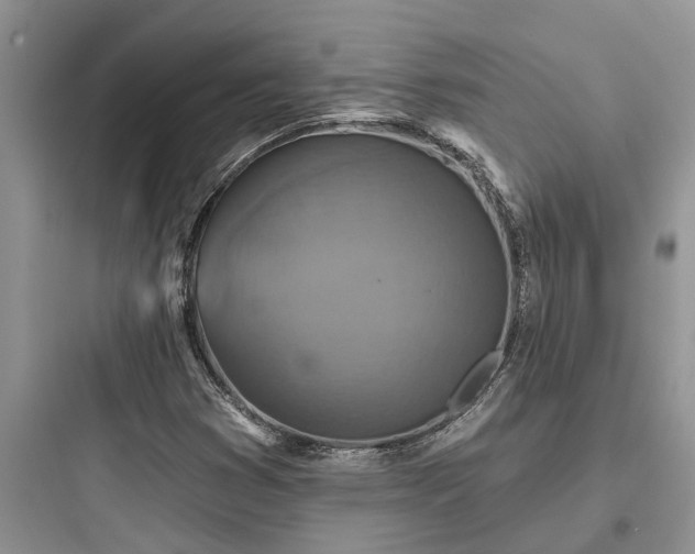 X0000097911353200803211455