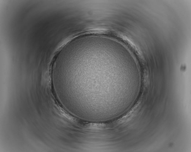 X0000097911354200803211455