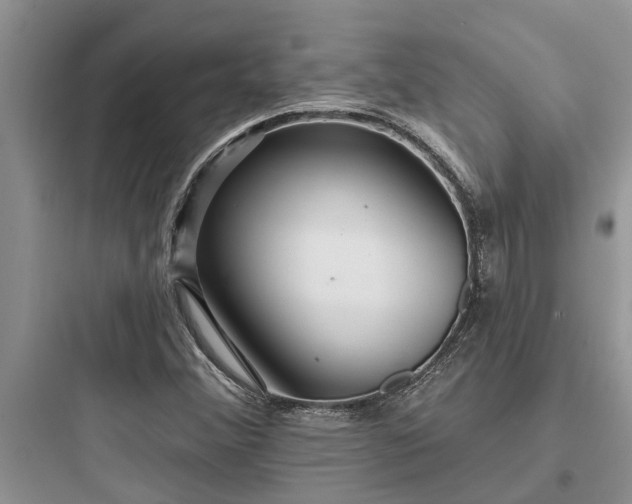 X0000097911356200803211455