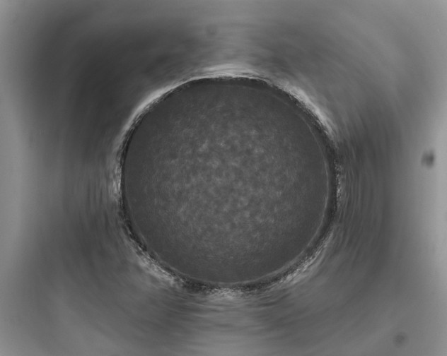 X0000097911358200803211455