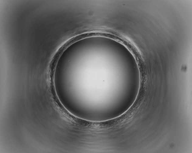 X0000097911360200803211455