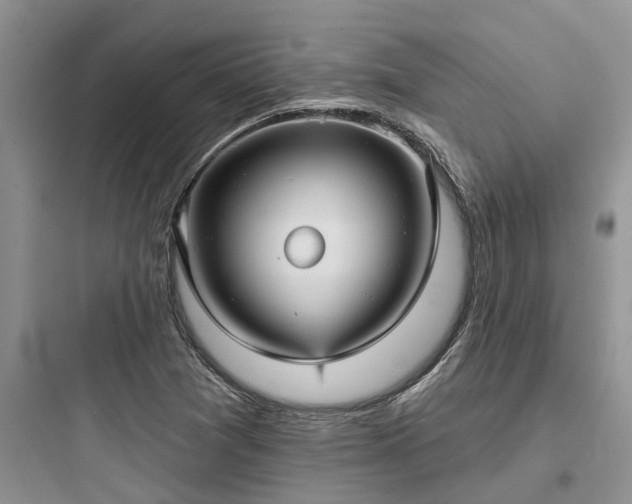 X0000097911361200803211455