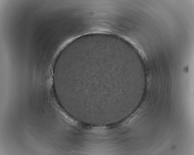 X0000097911363200803211455