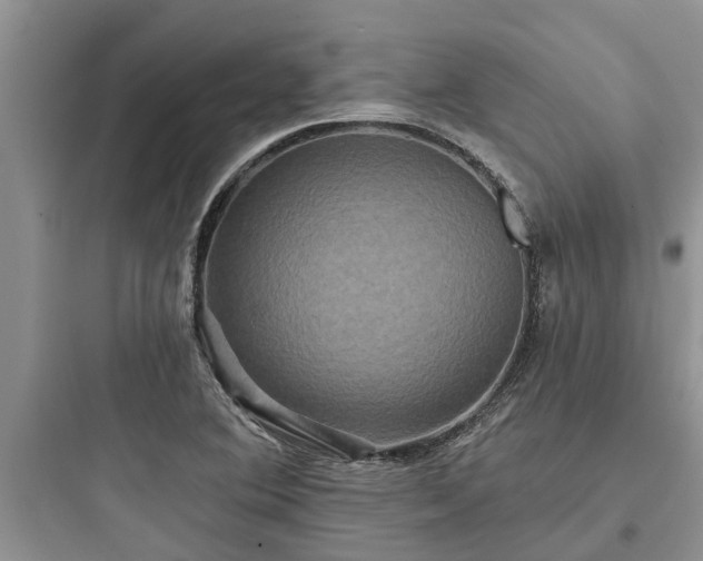 X0000097911364200803211455