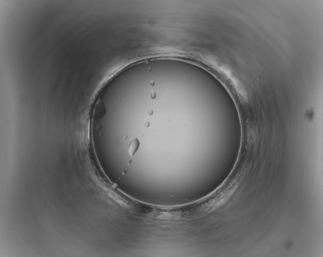 X0000097911365200803211455