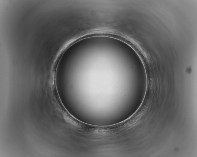 X0000097911366200803211455