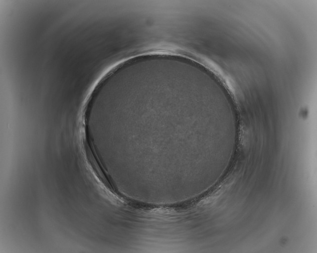 X0000097911368200803211455