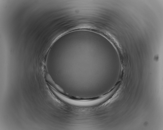 X0000097911369200803211455