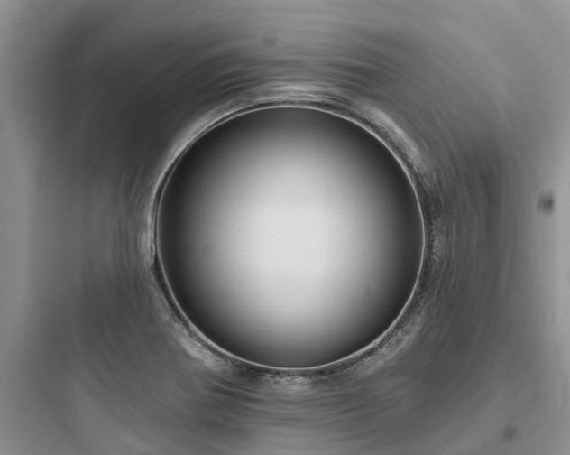 X0000097911370200803211455