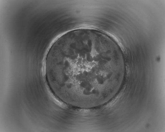 X0000097911371200803211455