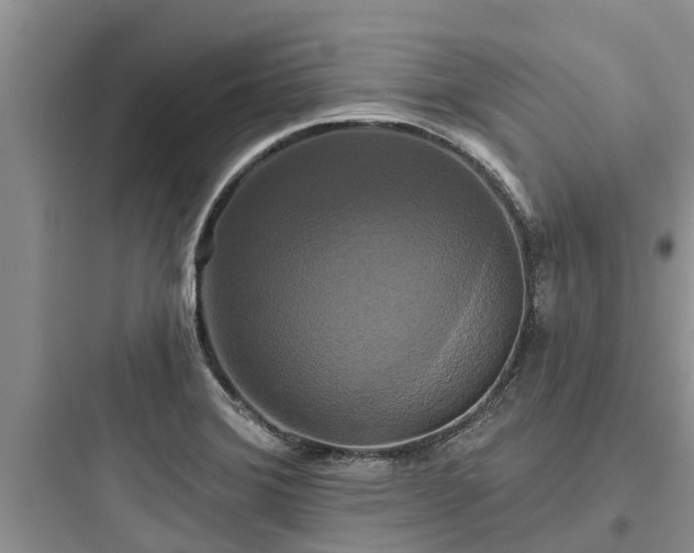 X0000097911372200803211455