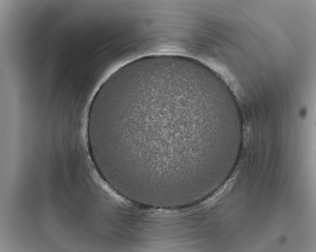 X0000097911374200803211455