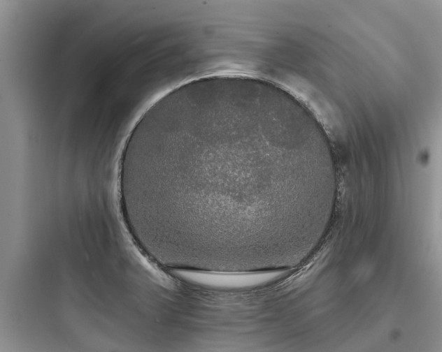 X0000097911375200803211455