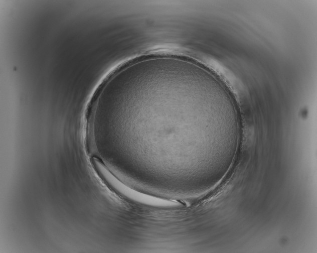 X0000097911376200803211455