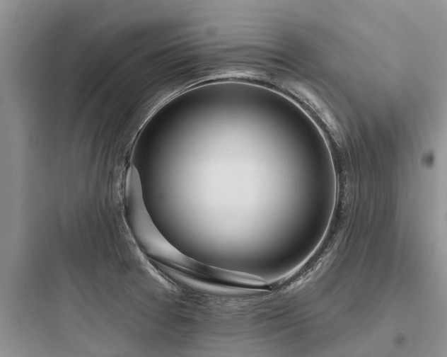 X0000097911377200803211455