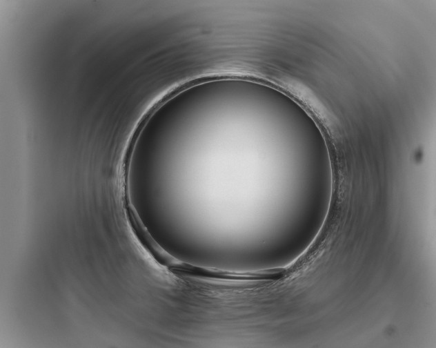 X0000097911380200803211454