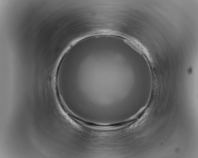 X0000097911381200803211454