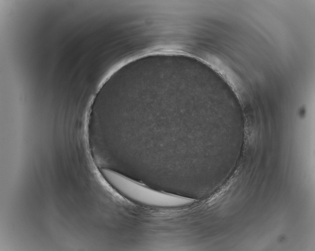 X0000097911382200803211454