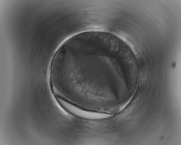 X0000097911383200803211454