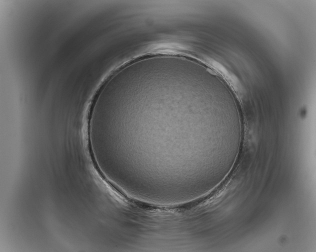 X0000097911384200803211454