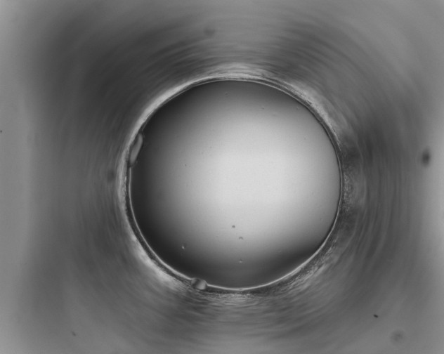 X0000097911387200803211454