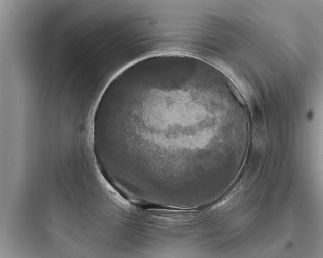 X0000097911388200803211454