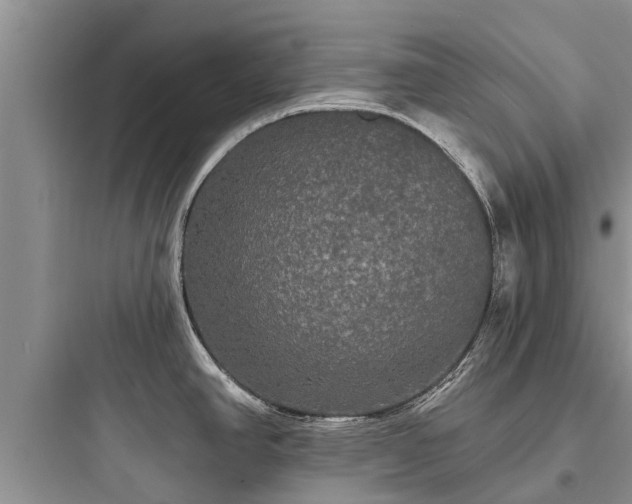 X0000097911390200803211454