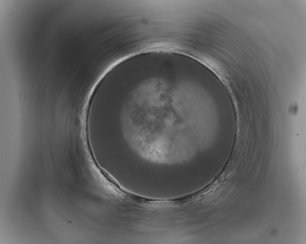 X0000097911392200803211454