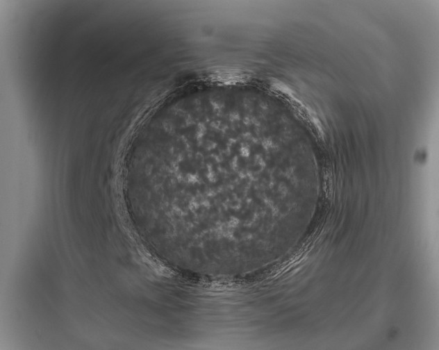 X0000097911393200803211453