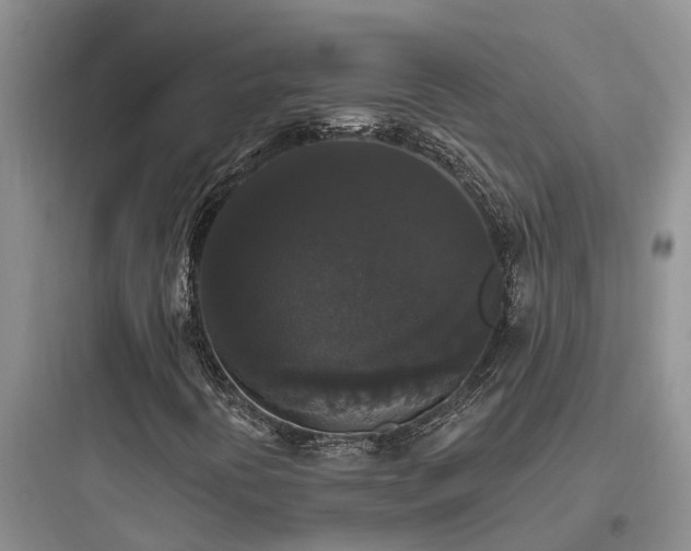 X0000097911394200803211453