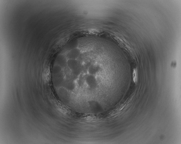 X0000097911395200803211453