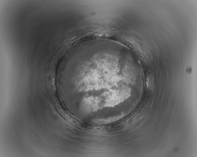 X0000097911396200803211454