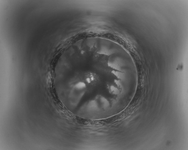 X0000097911397200803211454