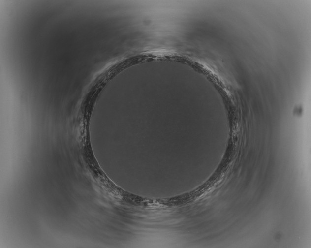 X0000097911398200803211454