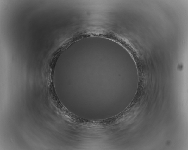 X0000097911399200803211454