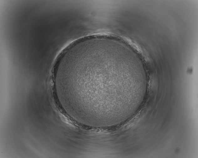 X0000097911400200803211454