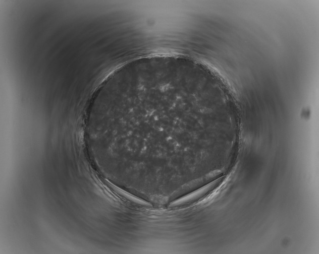 X0000097911401200803211454