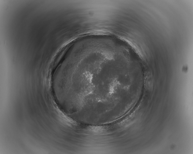 X0000097911402200803211454