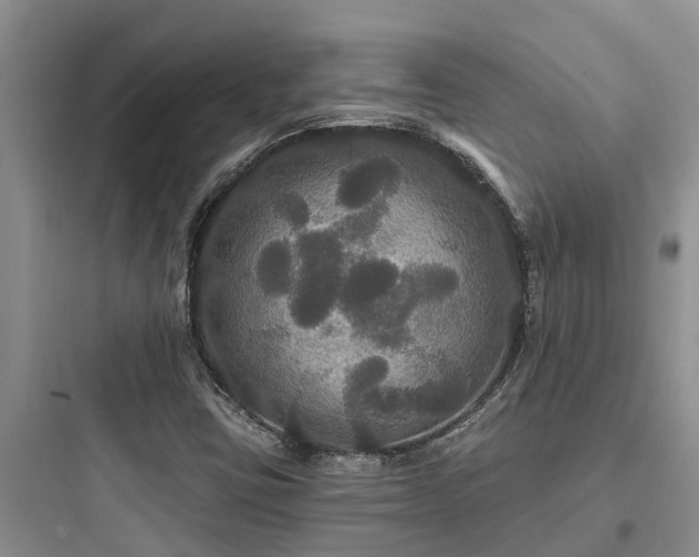 X0000097911403200803211454