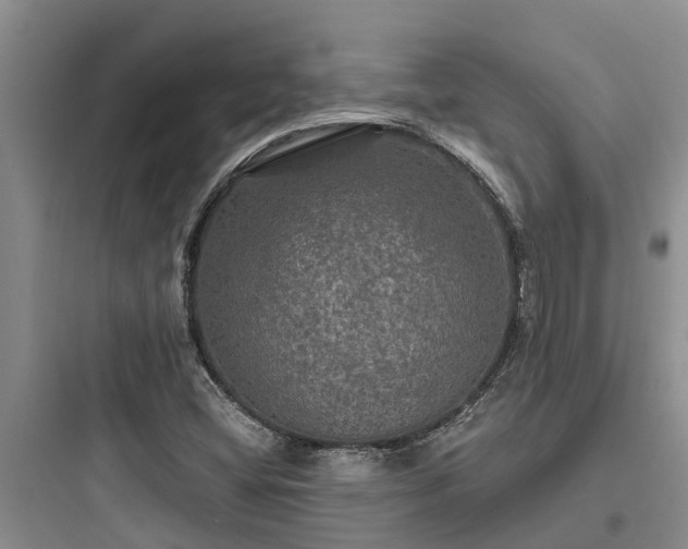 X0000097911404200803211454