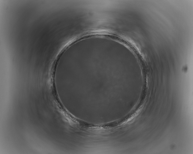 X0000097911405200803211454