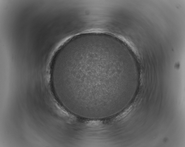 X0000097911406200803211454