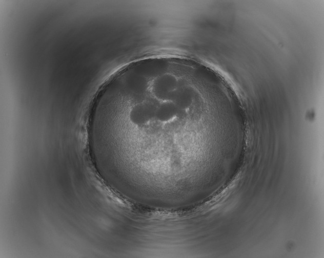 X0000097911407200803211454