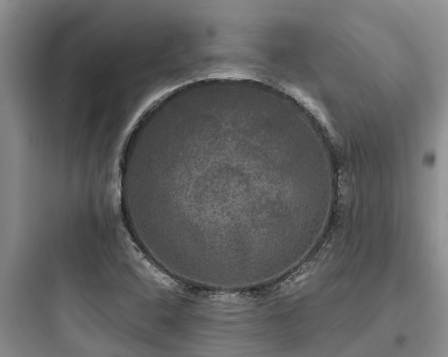 X0000097911408200803211454