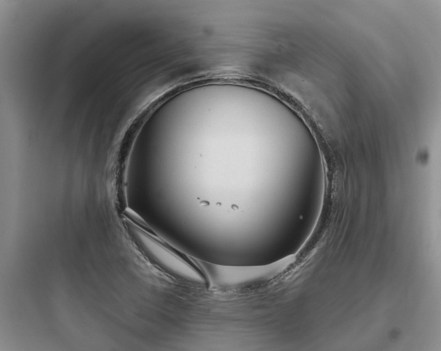 X0000097911410200803211454