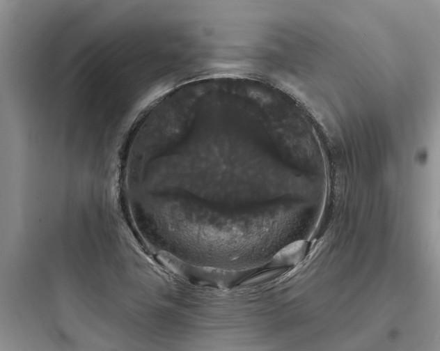 X0000097911411200803211454