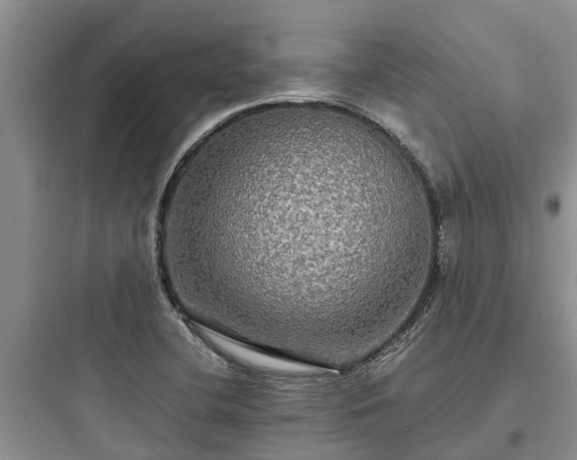 X0000097911412200803211454