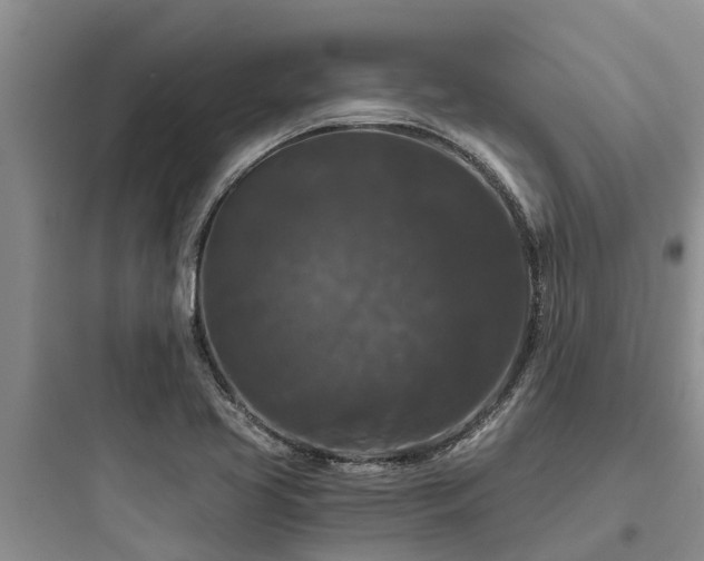 X0000097911413200803211454